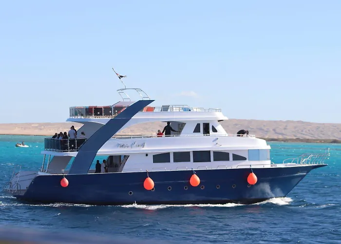 Dolphin House Hurghada